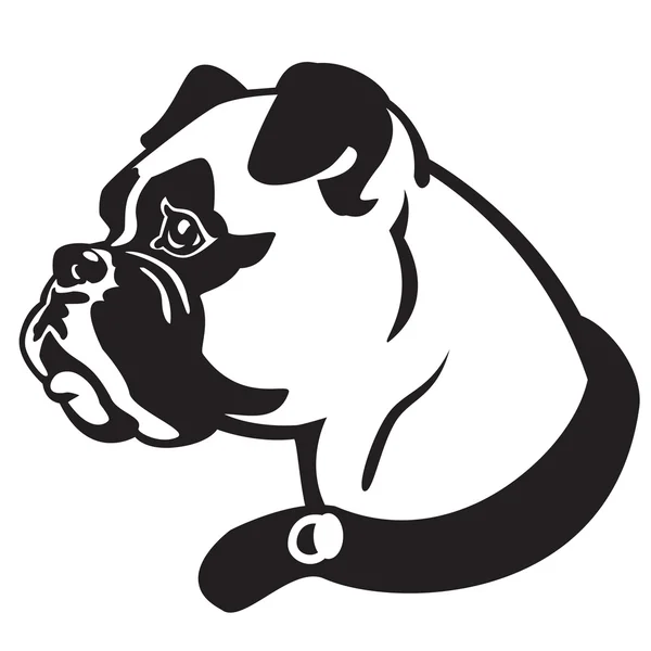 Боксер собака голову чорний білий — стоковий вектор