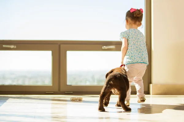 Девочка играет с собакой — стоковое фото