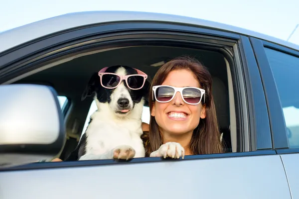 Смешная женщина с собакой в автомобиле — стоковое фото
