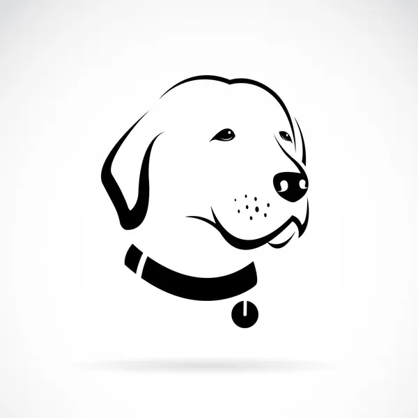 Векторні зображення глави собака Лабрадор — стоковий вектор