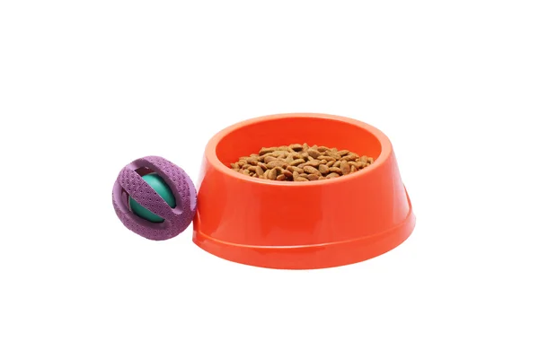 Собака миску з їжі та іграшки — стокове фото
