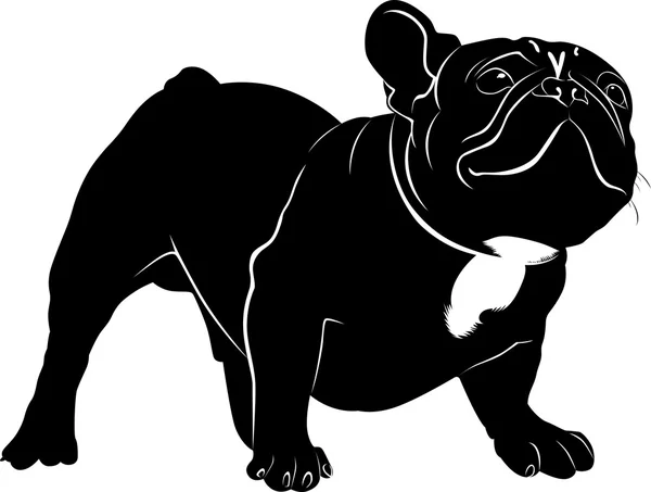 Собака бульдог. Собака породи бульдог. Силует бульдог чорний собака — стоковий вектор
