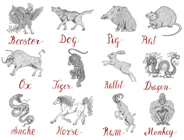 Набор животных китайского зодиака Астрология — стоковое фото