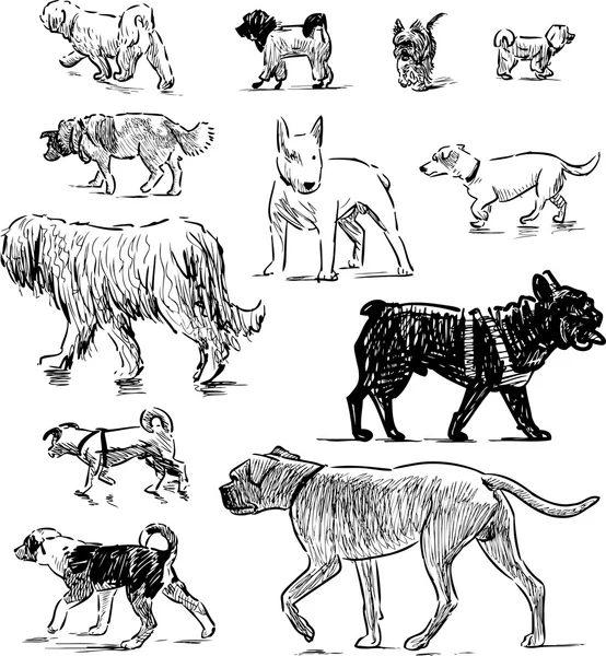 Замальовки з різними собаками — стоковий вектор