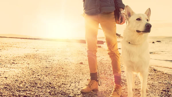 Хипстер девочка играет с собакой на пляже во время заката, сильный объектив бликов эффект — стоковое фото