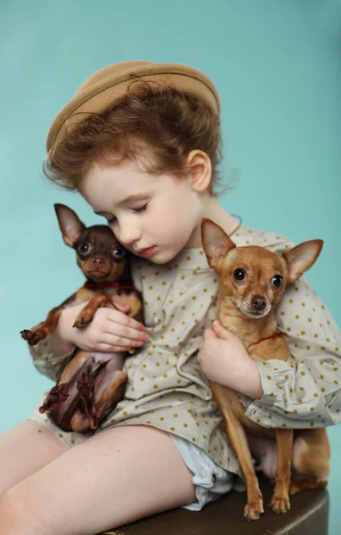 Красивая девушка с собаками, сладкий — стоковое фото