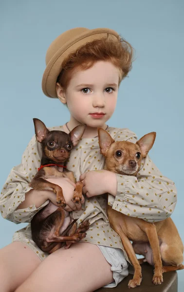 Красивая девушка с сладкий littledogs — стоковое фото