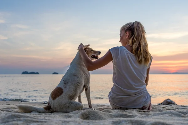 Молодая женщина с собакой, сидя на пляже и смотреть на закат — стоковое фото