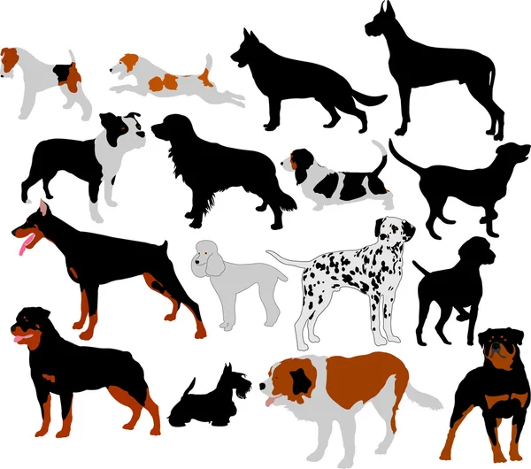Собаки колекції вектор силуети — стоковий вектор