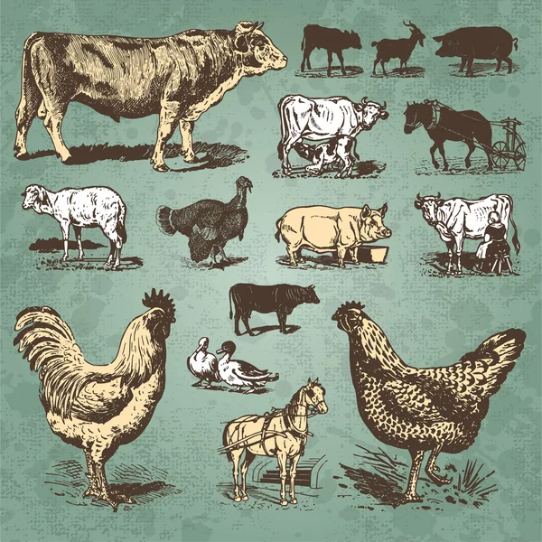 Farm animals vintage set (vector) — стоковий вектор