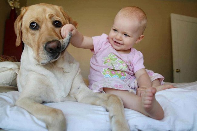 малыш с псом