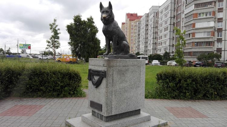 Памятник преданности (г. Тольятти)