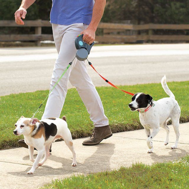 dual-dog-leash