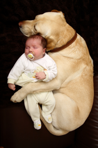 dog&baby
